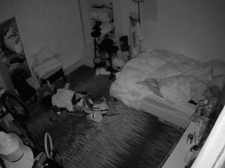 voyeurcam-hornyhostel-02