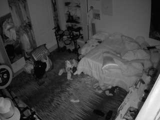 voyeurcam-hornyh... Live Webcam on CamSoda