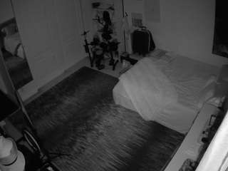 voyeurcam-hornyhostel-02