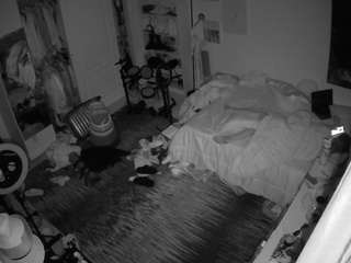 voyeurcam-hornyhostel-02 webcam