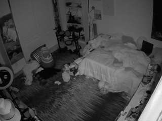 voyeurcam-hornyh... Live Webcam on CamSoda