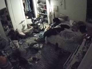 voyeurcam-hornyhostel-02 webcam model