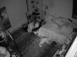 voyeurcam-hornyhostel-02 live cam profile