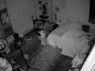 voyeurcam-hornyhostel-02