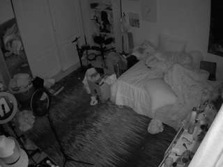 voyeurcam-hornyhostel-02