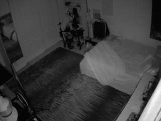 voyeurcam hornyhostel 02