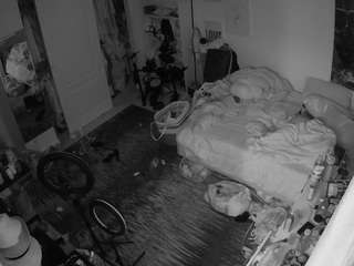 voyeurcam-hornyhostel-02