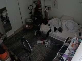 voyeurcam hornyhostel 02 live webcam show