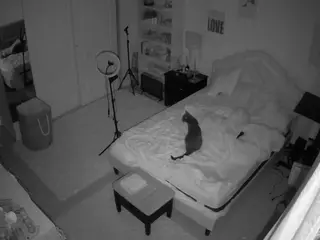 voyeurcam-hornyhostel-02's Live Sex Cam Show