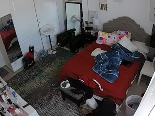 voyeurcam hornyhostel 02's Live Sex Cam Show