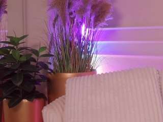 rachelquinn