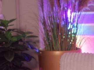 rachelquinn Sex Cam Show