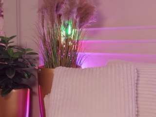 rachelquinn live cam