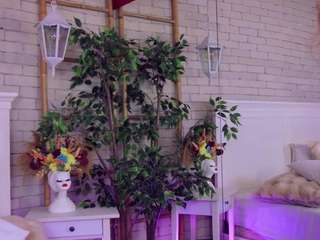 rachelquinn live cam