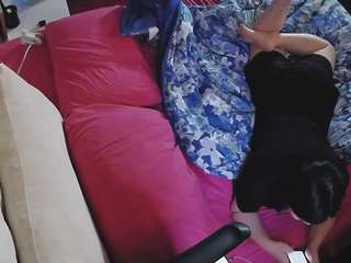 Hd, Young adult, Teen 18, Sexwebcam, Sex, Hidden cam, Hidden, Flashing, Ama..., Webcam Nude Amateur 0