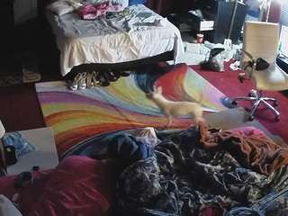hd  young adult  teen 18...