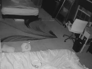voyeurcam-baileybase-room