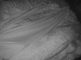 voyeurcam-baileybase-room camsoda