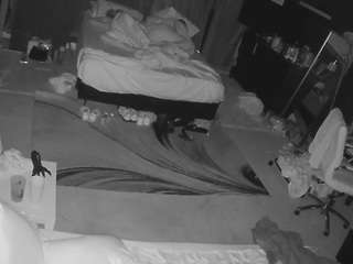 voyeurcam-baileybase-room