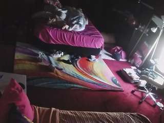 voyeurcam-baileybase-room webcam model