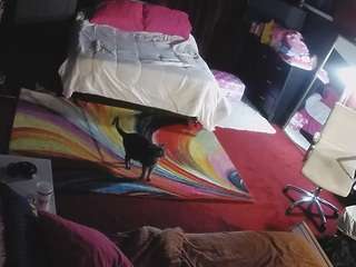 voyeurcam-baileybase-room