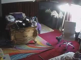 voyeurcam-baileybase-room