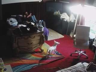 voyeurcam-baileybase-room webcam