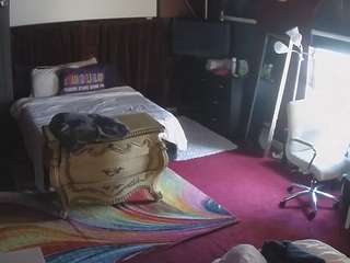 voyeurcam-baileybase-room webcam