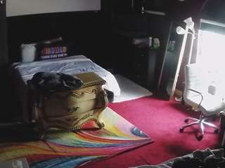 voyeurcam-baileybase-room webcam