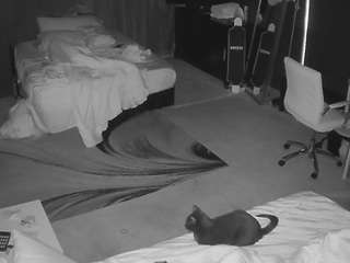 voyeurcam-baileybase-room