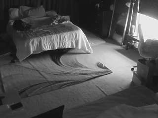 voyeurcam-baileybase-room's CamSoda show and profile