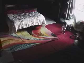 voyeurcam-baileybase-room live cam profile