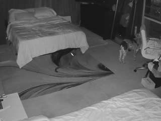 le modèle voyeurcam-baileybase-room est en webcam porno dans un show sur le site camsoda, il possède les tags suivants: ahegao,amateur,flashing,hidden,hidden cam,sex,sexwebcam,teen 18,young adult,hd