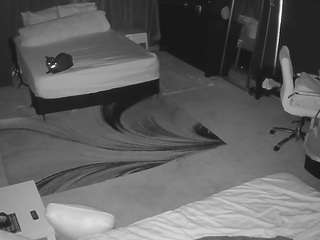 voyeurcam-baileybase-room live cam profile