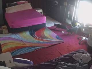 le modèle voyeurcam-baileybase-room est en webcam porno dans un show sur le site camsoda, il possède les tags suivants: ahegao,amateur,flashing,hidden,hidden cam,sex,sexwebcam,teen 18,young adult,hd