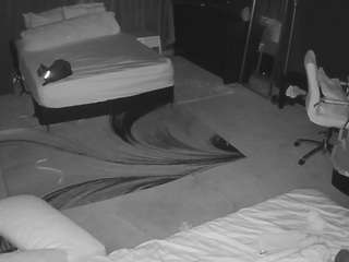 voyeurcam-baileybase-room webcam