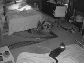 voyeurcam-baileybase-room