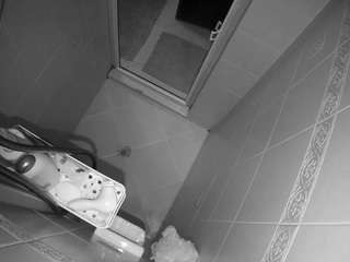 Voyeurcam-baileybase-shower