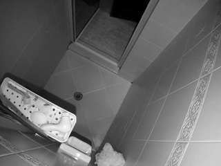 Adult Roulette Cam camsoda voyeurcam-baileybase-shower