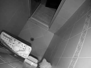 Adult Roulette camsoda voyeurcam-baileybase-shower