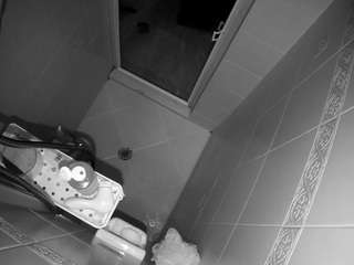 Adult Webcams Free camsoda voyeurcam-baileybase-shower