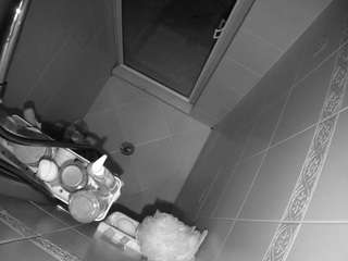 Asian Adult Webcam camsoda voyeurcam-baileybase-shower