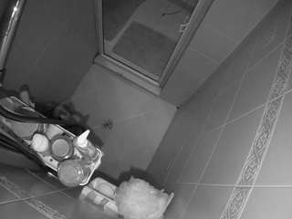 Free Webcams Adult camsoda voyeurcam-baileybase-shower