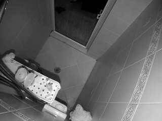 Adult Game camsoda voyeurcam-baileybase-shower