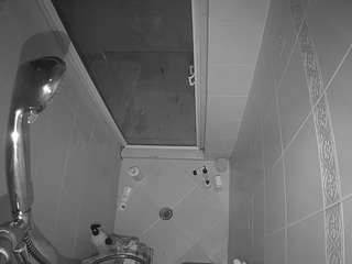 Shower, Hd, Young Adult, Voyeu Camiqa – Free Live Video Chat with Strangers Online