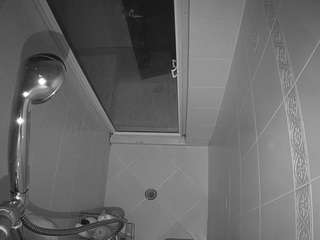 voyeurcam-baileybase-shower Thumb Image