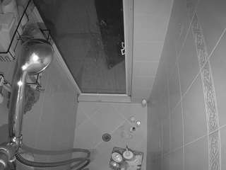 voyeurcam-baileybase-shower