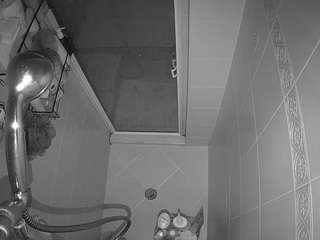 voyeurcam-baileybase-shower