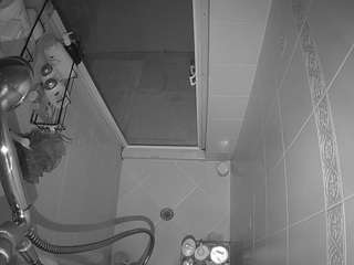 voyeurcam-baileybase-shower