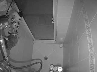 voyeurcam-baileybase-shower